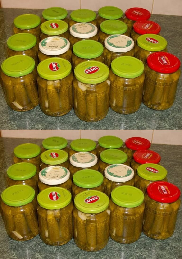 Castraveti in otet (reteta Motan)
