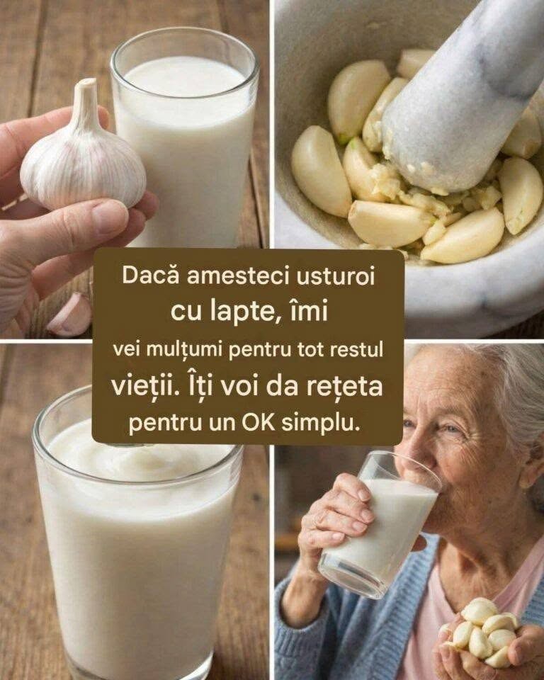 Beneficiile pentru sănătate ale usturoiului cu lapteV
