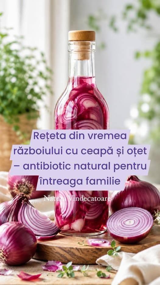 Rețeta din vremea războiului cu ceapă și oțet – antibiotic natural pentru întreaga familie În vremuri grele, când medicamentele lipseau, oamenii se bazau pe remedii simple și naturale pentru a combate bolile. Una dintre cele mai vechi și eficiente rețete folosite în timpul războaielor era combinația de ceapă și oțet – un „antibiotic” natural transmis din generație în generație.