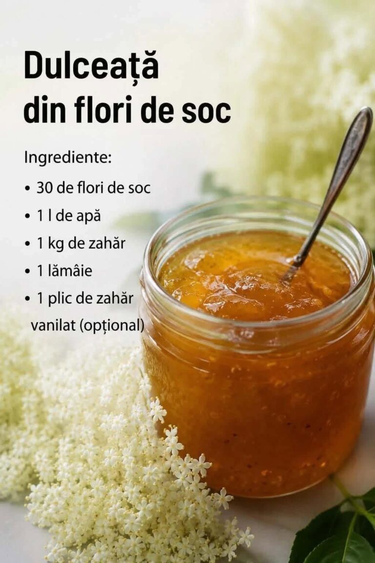 🌼 Dulceață din flori de soc – aromă fină și gust de primăvară 🌼