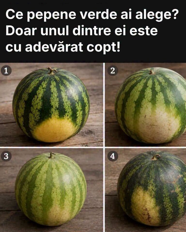 Ce pepene verde ai alege? Doar unul dintre ei este cu adevărat copt!