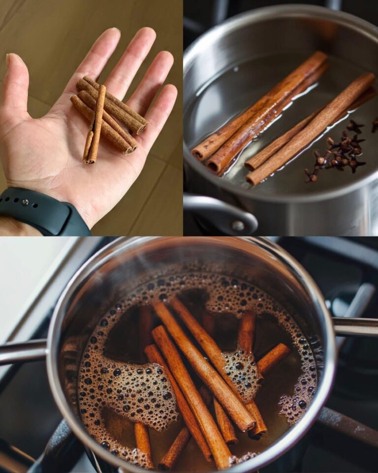 🪵 Ceai Aromat de Scorțișoară și Cuișoare: Băutură Reconfortantă și Terapeutică!