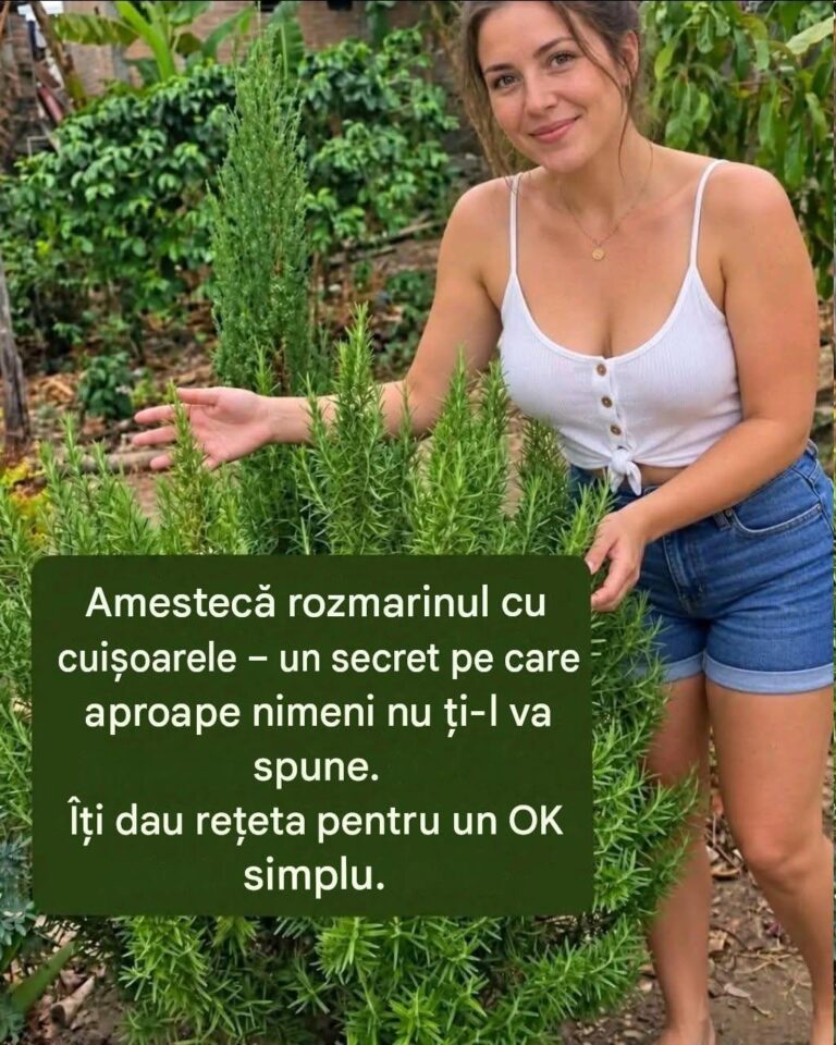 Bea ceai de rozmarin, ți-ar putea schimba viața…