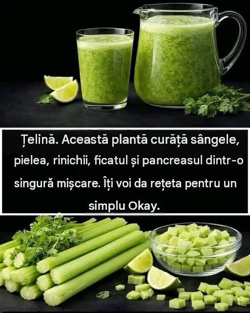🥬 Suc verde de țelină mediteraneană: prospețime în fiecare pahar! 🌿