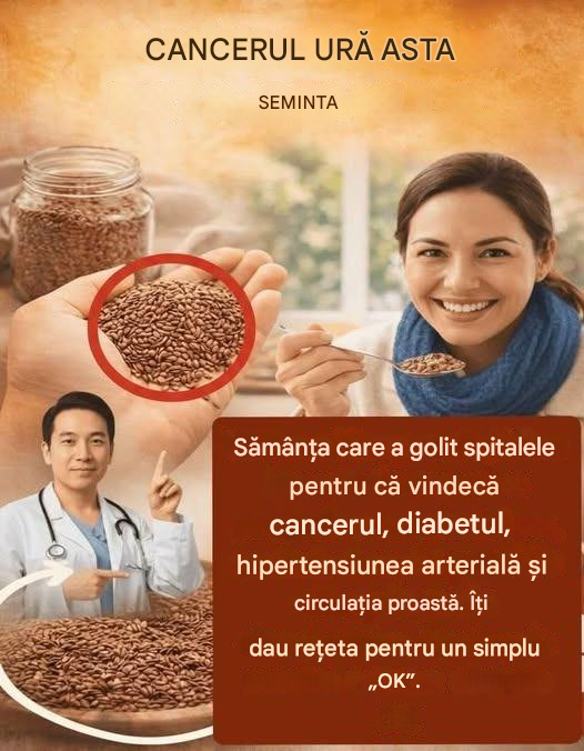 Beneficiile semințelor în alimentația sănătoasă