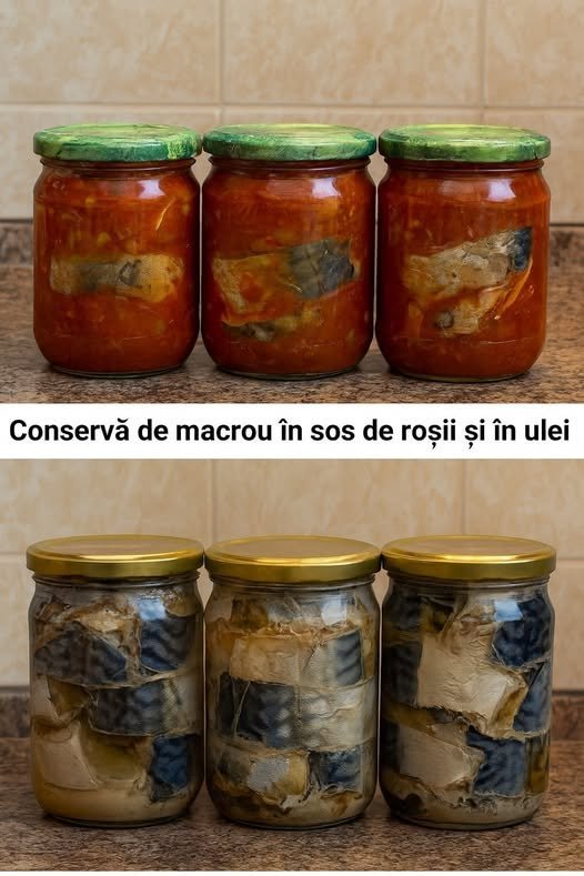 Rețete delicioase de conserve de macrou pentru iarnă