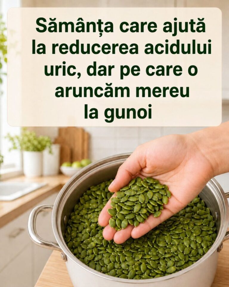 Beneficiile semințelor de dovleac pentru o digestie sănătoasă și detoxifiere
