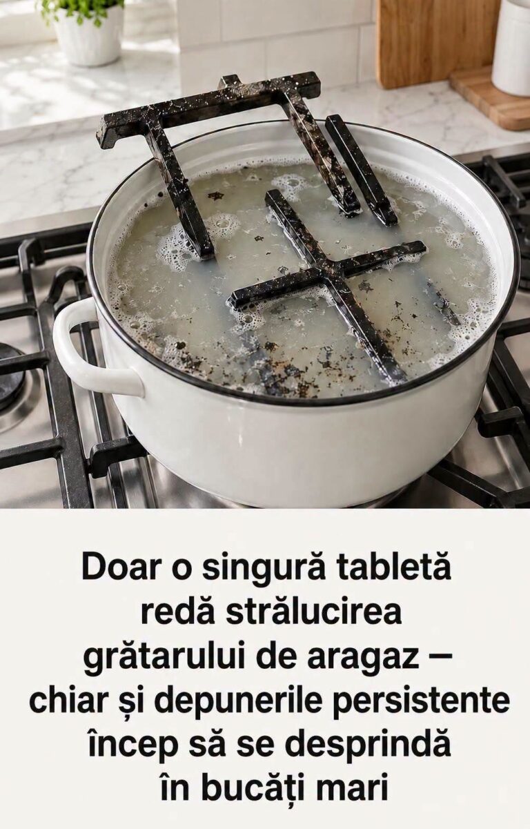 Cum să îndepărtezi depunerile vechi cu o tabletă pentru mașina de spălat vase