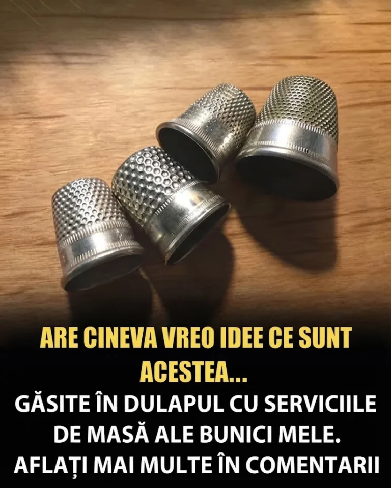 Are cineva idee ce sunt acestea… cele găsite în dulapul de vase al bunicii mele?
