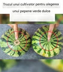 Cum să alegi cel mai dulce pepene verde de fiecare dată: sfaturi simple care chiar funcționează